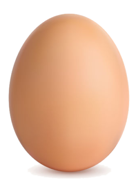 eggs